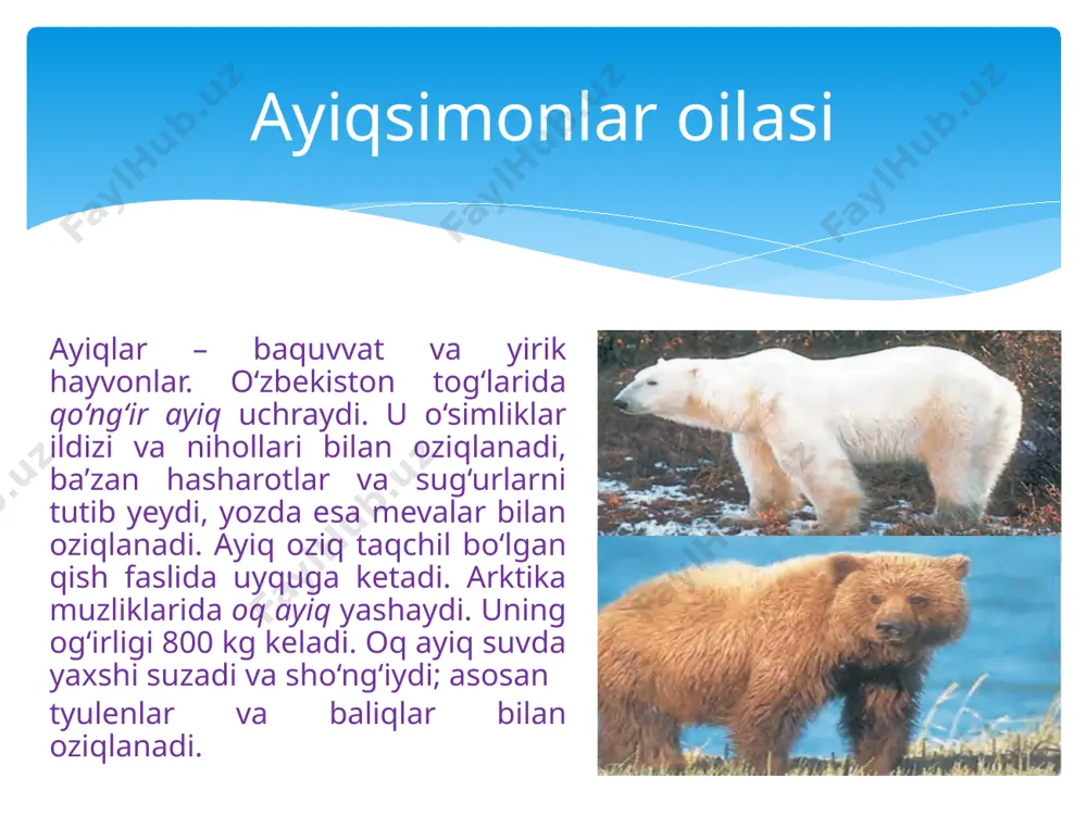 jurayeva malika - Page 4