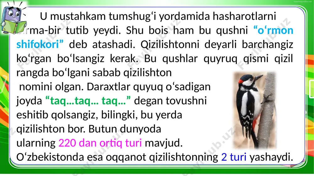 1-sinf.ona tili. 59-dars - Page 4