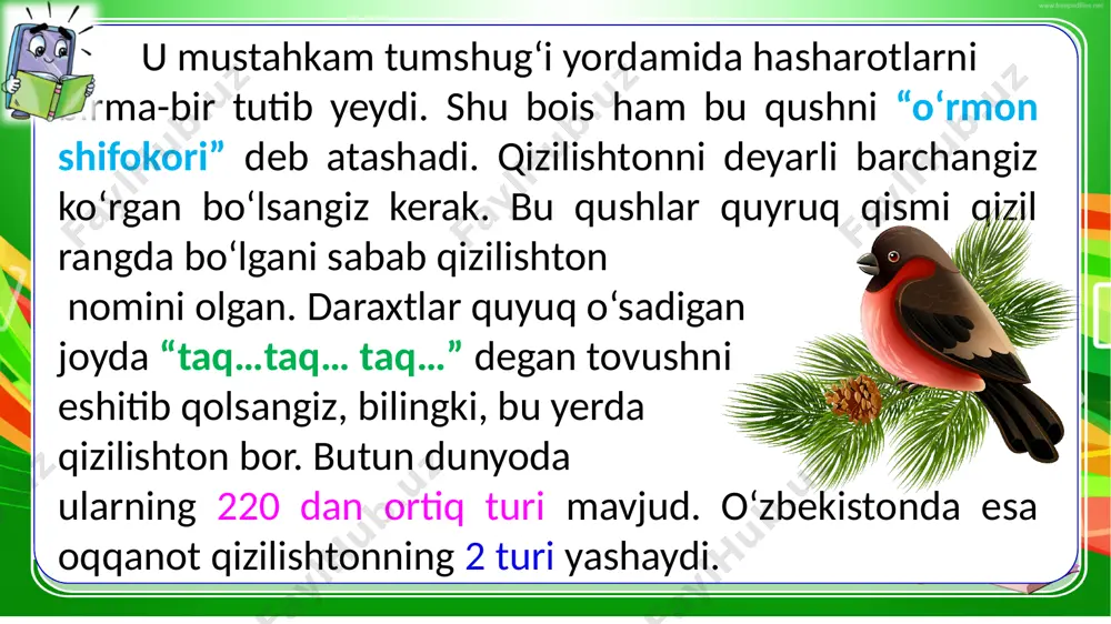 1-sinf.ona tili. 59-dars - Page 4