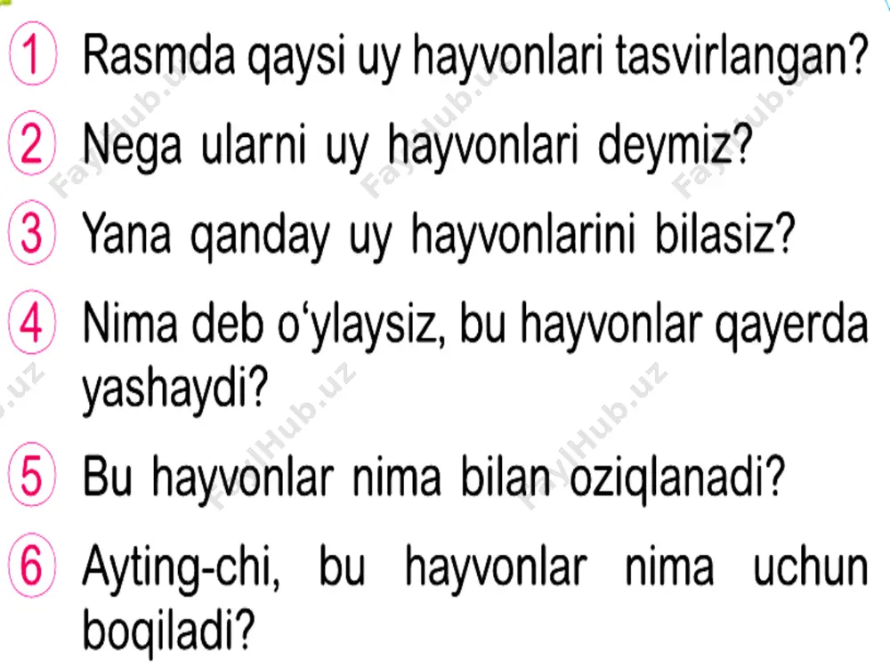 uy hayvonlari - Page 4