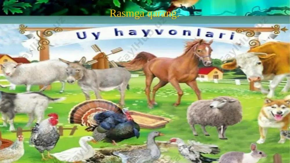 1-sinf uy hayvonlari - Page 4