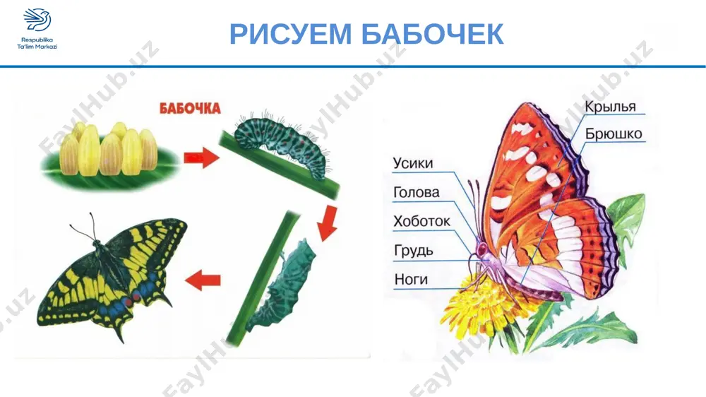 1_klass_izobrazitelnoe_iskusstvo - Page 4