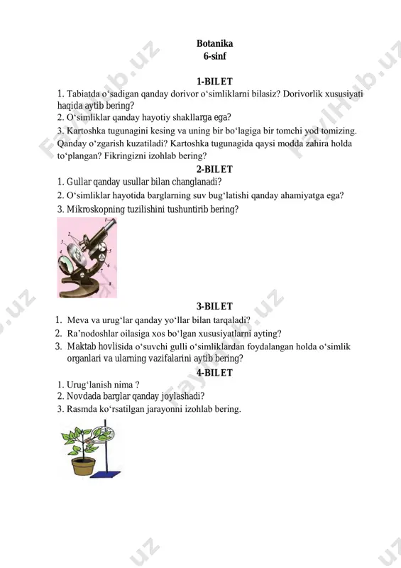 ing. 3. piyozning ichki tuzilishini izohlab bering. 12-bilet 1. bir urug‘pallali o‘simliklarning urug‘i ikki urug‘pallali o‘simliklarnikidan qanday farq qiladi? 2. oshqovoq o‘simligining tuzilishini tushuntirib bering? 3. makkajo‘xorining 1mm 2 so‘rish qismida 700 ta ildiz tukchalari bo‘ladi. makkajo‘xori o‘simligi ildizining 2 sm 2 so‘rish qismida joylashgan ildiz tukchalarining sonini hisoblab toping? 13-bilet 1. botanika fani va uning asosiy bo‘limlari haqida tushuncha bering? 2. barglarda organik moddalarning hosil bo‘lish jarayonini qanday amalga oshadi? 3. quyida berilgan o‘simlikning hayotiy jarayonini ifodalab bering. 14-bilet 1. o‘simliklar sistematik birliklari haqida umumiy ma’lumot bering? 2. kurtak haqida tushuncha bering? 3. gerbariy va tabiiy o‘simliklardan foydalanib ildiz turlarini aniqlang? 15-bilet 1. urug‘ning unib chiqishi uchun qanday sharoitlar zarur. uning sababini tushuntiring? 2. novda haqida tushuncha bering ? 3. gulli o‘simliklarning 10000 turi asalarilar yordamida changlanadi. agar yer yuzida asalarilar bo‘lmaganda bu o‘simliklar taqdiri qanday hal bo‘lar edi. javobingizni izohlang. 16-bilet 1. bug‘doydoshlar oilasining ildizi, poyasi, bargi, guli …