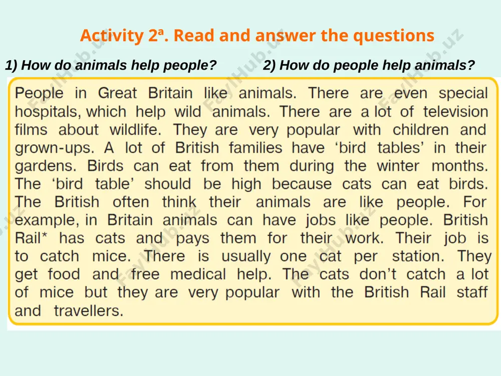 bird table - Page 4