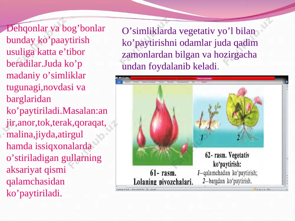 madaniy o’simliklarning vegetativ ko’payishi - Page 4
