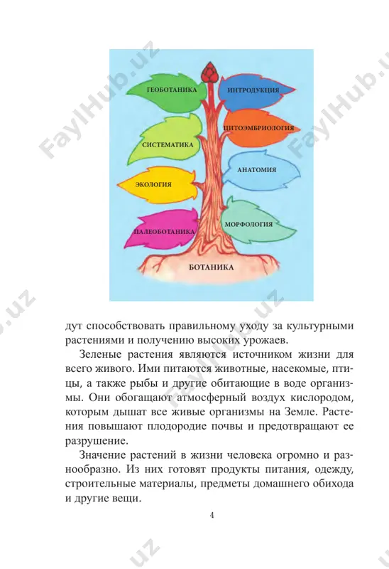 tsya zashite proizrastayushix v respublike raste- niy i ix razumnomu ispolzovaniyu. redkie i ischezayu- shie vidi rasteniy zaneseni v krasnuyu knigu respub- liki uzbekistan (ris. 4). v respublike sozdan gosudar- stvenniy komitet po oxrane i zashite prirodi. oxrana i zashita prirodi, priumnojenie ee bogatstva – dolg kajdogo grajdanina strani. net nikakogo somneniya v tom, chto uchashiesya shkol takje vnosyat posilniy vklad v eto blagorodnoe delo. 8 1. chto izuchaet botanika? 2. kakoe znachenie imeyut rasteniya v jizni prirodi? 3. kakoe znachenie imeyut rasteniya v jizni cheloveka? 4. kogo eshe iz uchenix, vnesshix dostoyniy vklad v razvitie botaniki v uzbekistane, vi znaete? rasskajite po ris. 5, kakoe znachenie imeyut v jizni cheloveka eti rasteniya i kak ix mojno ispolzovat. ris. 5. 1 – pshenitsa; 2 – xlopchatnik. 1 2 derevo s plodami k zemle klonitsya, besplodnoe derevo vvis stremitsya. razlivaetsya iz zolotoy chashi, krasotu zemli otkrivaya. 9 ris. 6. tsvetkovoe rastenie …