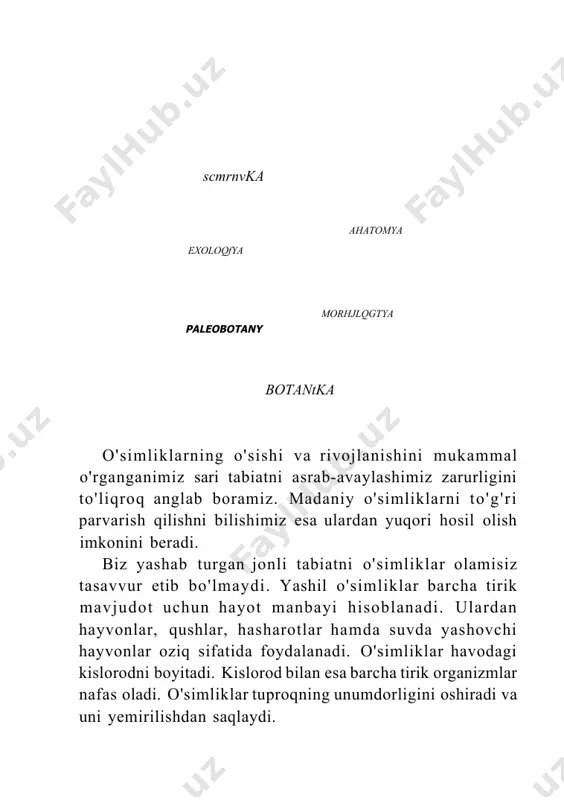 buning boisi shundaki, birinchidan, bu davrda juda ko'p mevalar g'arq pishadi. ikkinchidan, ko'pchilik daraxt va butalarning bargi qizg'ish, sarg'ish, qo'ng'ir ranggakirib, tabiatga ajoyib man- zarabaxsh etadi. bir qator o'simliklar (nastarin, atirgul, ligustrum)ning bargi uzoq vaqtgacha yashil rangini saqlaydi. hatto, qishdaham shamshod va ligustrum kabi o'simliklarning bargi to'kilmay turaveradi. kuzda ko'pgina daraxt va butalarning yashil bargla- ri rangi to'kilish oldidan o'zgaradi. shu munosabat bilan o'simliklarning barglari nima uchun rangini o'zgartiradi? bun- da o'simlik hujayralarida qanday o'zgarishlar sodir bo'ladi, degan savol tug'iladi. 2 - botanlka, 5- sinf 17 kuz kelishi bilan kunlar qisqarib, quyoshdan yerga keladigan yorug'lik va harorat kamayadi. yorug'lik va harorat yetishmasligi tufayli hujayra- larda jiddiy fiziologik jarayonlar sodir bo'ladi. natijada barglarga yashil rang beruvchi xloroplastlar yemirilib, xro- moplastlarga aylanadi, hujayralarda esa rang beruvchi moddalar to'planib, yashil barglar asta-sekin sarg'ish, sarg'ish-qizg'ish, qo'ng'ir-qizg' ish ranglarga kiradi. kuzda barg to'kilishi bilan bir qa~ tor da yozda to'kilgan urug'lari namga tegib unib chiqadigan …