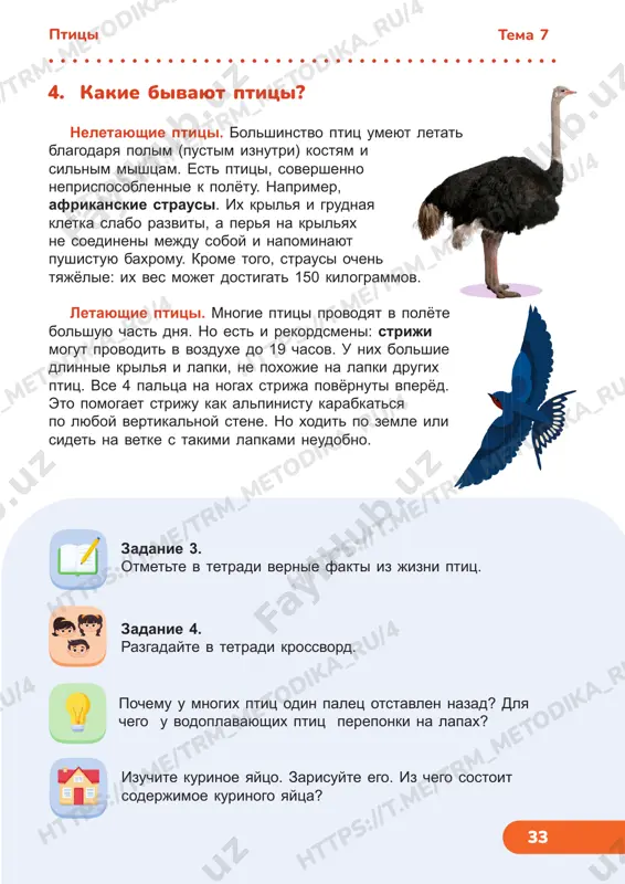 i i drugie jivotnie, v okeane — kiti, delfini, kasatki. k mlekopitayushim otnosimsya i mi — lyudi. vse mlekopitayushie — teplokrovnie. bolshinstvo takix jivotnix pokrito sherstyu, kotoraya pomogaet soxranit teplo. mlekopitayushie, jivushie v xolodnom klimate, imeyut dlinnuyu gustuyu sherst. jivotnie, obitayushie v jarkix regionax, obladayut korotkoy i redkoy sherstyu. kiti i delfini lisheni shersti i imeyut gladkuyu koju. u vsex mlekopitayushix est vnutrenniy skelet i razvitiy mozg. pochemu u kitov i u delfinov net shersti? zadanie 1. otmette v tetradi osnovnie priznaki mlekopitayushix. 1. mlekopitayushie tema 8 mlekopitayushie 34 ht tp s: //t .m e/ tr m_m et od ik a_ ru /4 ht tp s: //t .m e/ tr m_m et od ik a_ ru /7 ht tp s: //t .m e/ tr m_m et od ik a_ ru /4 ht tp s: //t .m e/ tr m_m et od ik a_ ru /4 ht tp s: //t .m …