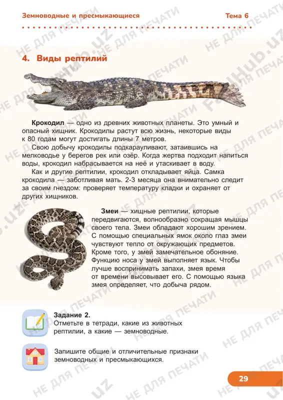 shey pod voroxom listev. pochemu perya u ptits raznie, odni perya myagkie i pushistie, a drugie — jyostkie i plotnie? zadanie 1. chto obshego u ptits i nasekomix? chem oni otlichayutsya? nozdri ushnoe otverstie glaz nadklyuve yazik podklyuve 1. ptitsi tema 7 ptitsi ne dlya pechati ne dlya pechati ne dlya pechati ne dlya pechati ne dlya pechati ne dlya pechati ne dlya pechati ne dlya pechati ne dlya pechati ne dlya pechati ne dlya pechati ne dlya pechati ne dlya pechati ne dlya pechati ne dlya pechati ne dlya pechati ne dlya pechati ne dlya pechati ne dlya pechati ne dlya pechati ne dlya pechati ne dlya pechati 31 krupnie xishnie ptitsi — korshuni, yastrebi, orli, sokoli — pitayutsya grizunami, zmeyami i drugimi melkimi jivotnimi. oni paryat visoko v nebe, vismatrivaya dobichu. zametiv eyo, ptitsa ustremlyaetsya vniz i xvataet jertvu svoimi kogtyami. ptitsi, jivushie vozle vodi, predpochitayut pitatsya riboy …