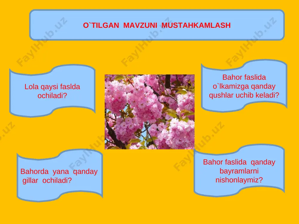 navro`z bayrami - Page 4