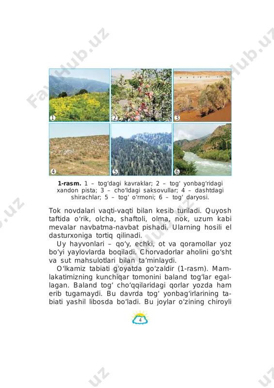 di gan yulduzlar ortida ham son-sanoqsiz yulduzlar mavjud. olimlar azaldan yulduzlarni o‘rga nishga qiziqqanlar. jumladan, buyuk alloma mirzo ulug‘bek (1394–1449) yulduzlarni o‘rganish uchun samarqandda maxsus in shoot – rasadxona qurdirgan. rasadxonadagi asboblar yordamida tekshirishlar natijalari asosida yulduzlarning joylashish jadvalini tuzgan. yulduzlar- ni o‘rganish natijalarini to‘plab, alohida kitob yozib qol dirgan. ulug‘bekning bu kitobida 1 018 ta yul duz haqida yozilgan. kitobda keltirilgan yulduzlar haqidagi ma’lumotlar hozirda ham katta ahamiyatga ega. quyosh – eng yaqin yulduz quyosh har kuni erta tongda yer sirtining bir to- monidan chiqib, kun bo‘yi osmonda harakat qiladi. kechga borib, u yer sirtining boshqa bir tomoniga botadi. go‘yoki, yer shari bir joyda turadi-yu, quyosh yer atrofi da aylanadi. mirzo ulug‘bek 9 3-rasm. yer quyosh atrofi da aylanadi. aslida quyosh yerga nisbatan bir joyda turadi. yer esa quyosh atrofi da aylanadi (3-rasm). qu yosh ning diametri yer sharini ki dan 109 mar- ta kattadir. uning massasi esa yernikidan …