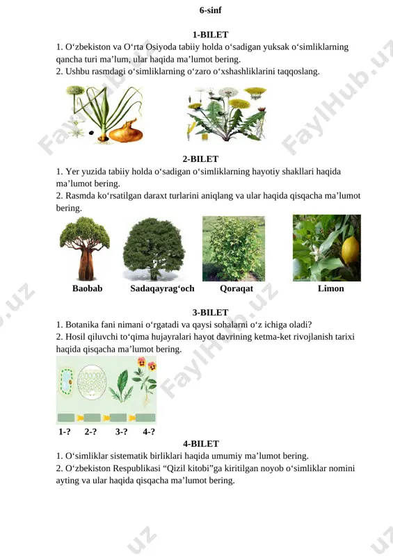 ti. 2. ushbu rasmni izohlab bering. [image: image18.jpg] 16-bilet 1. qoqio‘tdoshlarga mansub manzarali va yovvoyi o‘simliklarni ayting. 2. barglarning tashqi tuzilishini o‘rgangan xulosa natijalaringizni izohlang. [image: image19.jpg] 17-bilet 1. yashab turgan joyingizda “qizil kitob”ga kiritilgan qanday o‘simliklar borligini aniqlang. 2. rasmlarda qanday mevalar aks etgan? ularga tarif bering.[image: image39.emf][image: image40.emf][image: image41.emf][image: image42.emf][image: image43.emf] 18-bilet 1. o‘zbekistonda uzumchilikni rivojlantirishda rizomat ota musamuxammedovning qo‘shgan hissasi nimalardan iborat? 2. to‘pgullar turini aniqlang va ularga ta’rif bering. [image: image20.png] 19-bilet 1. bir hujayrali yashil suvo‘tlarining o‘ziga xos xususiyatlari nimalardan iborat? 2. rasmda ko‘rsatilgan jarayonni izohlab bering. [image: image21.png] 20-bilet 1. burchoqdoshlar oilasiga mansub o‘simliklarning tabiatdagi ahamiyati nimalardan iborat? 2. mikroskopning tuzilishini tushuntirib bering. [image: image22.png] 21-bilet 1. karamdoshlar oilasiga mansub o‘simliklarning o‘ziga xos xususiyatlari nimalardan iborat? [image: image44.emf]2. madaniy o‘simliklarning ko‘payish usullari haqida ma’lumot bering. [image: image23.png] 22-bilet 1. o‘simliklarga qanday ekologik omillar ta’sir qiladi ? 2. piyozning ichki tuzilishini izohlab bering. [image: image24.jpg] …