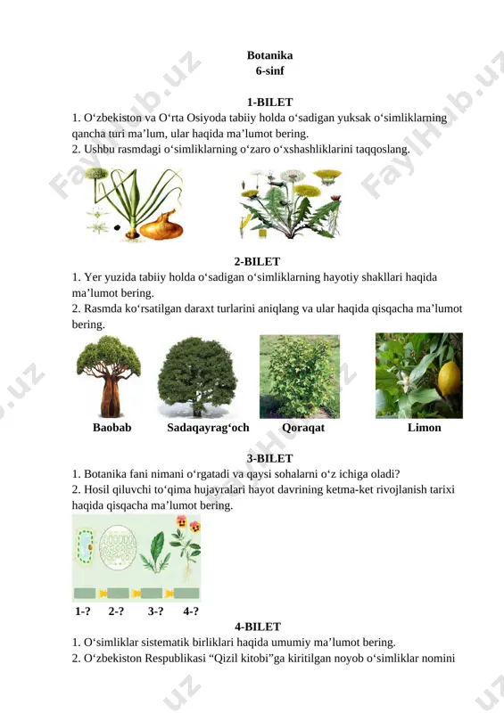 ti. 2. ushbu rasmni izohlab bering. [image: image18.jpg] 16-bilet 1. qoqio‘tdoshlarga mansub manzarali va yovvoyi o‘simliklarni ayting. 2. barglarning tashqi tuzilishini o‘rgangan xulosa natijalaringizni izohlang. [image: image19.jpg] 17-bilet 1. yashab turgan joyingizda “qizil kitob”ga kiritilgan qanday o‘simliklar borligini aniqlang. 2. rasmlarda qanday mevalar aks etgan? ularga tarif bering.[image: image38.emf][image: image39.emf][image: image40.emf][image: image41.emf][image: image42.emf] 18-bilet 1. o‘zbekistonda uzumchilikni rivojlantirishda rizomat ota musamuxammedovning qo‘shgan hissasi nimalardan iborat? 2. to‘pgullar turini aniqlang va ularga ta’rif bering. [image: image20.png] 19-bilet 1. bir hujayrali yashil suvo‘tlarining o‘ziga xos xususiyatlari nimalardan iborat? 2. rasmda ko‘rsatilgan jarayonni izohlab bering. [image: image21.png] 20-bilet 1. burchoqdoshlar oilasiga mansub o‘simliklarning tabiatdagi ahamiyati nimalardan iborat? 2. mikroskopning tuzilishini tushuntirib bering. [image: image22.png] 21-bilet 1. karamdoshlar oilasiga mansub o‘simliklarning o‘ziga xos xususiyatlari nimalardan iborat? [image: image43.emf]2. madaniy o‘simliklarning ko‘payish usullari haqida ma’lumot bering. [image: image23.png] 22-bilet 1. o‘simliklarga qanday ekologik omillar ta’sir qiladi ? 2. piyozning ichki tuzilishini izohlab bering. [image: image24.jpg] …