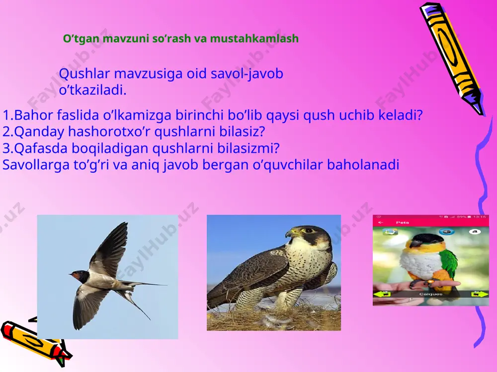 tabiat - Page 4