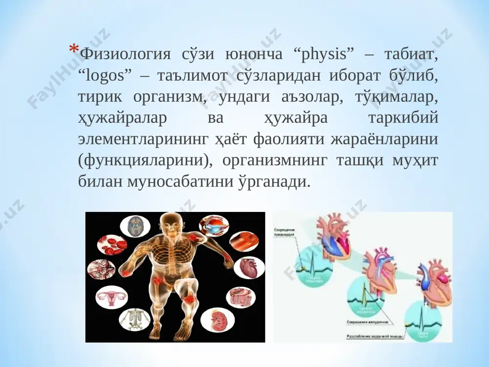 m. rodvel. 1994 yil (hujayralarda s oqsillarining signal roli) r.f.farshgott. 1998 yil «vistseral tizimlarda no neyrotransmitter sifatidagi roli» a. karlson, r. gringard. 2000 yil. «markaziy sinapslarning faoliyat mexanizmi» ta'sirchanlik modda va energiya almashinuvi o'sish va rivojlanish ko'payish qobiliyati to'qima suyuqligi qon limfa likvor sinovial suyuqlik ko'z ichi suyuqligi ichki quloq suyuqligi organizmning ichki muhiti haqidagi fikrni birinchi marta 100 yil oldin fiziolog klod bernar ifodalagan 1929 y. uolter kennon gomeostaz terminini kiritgan. gomeostaz – organizmning erkin va mustaqil ishini ta'minlovchi ichki muhitning doimiyligi. gomeokinez – yashash sharoitlari o'zgarganda ichki muhit parametrlarini yangi darajaga o'zgarishi. funktsiya (functio - faoliyat) butun organizm hayot faoliyatini ta'minlovchi hujayra, organ va tizimlarning spetsifik faoliyati fiziologik tizim – bu umumiy yoki ba'zan bir nechta funktsiyalarni bajaruvchi irsiy mustahkamlangan to'qima va organlar majmuasi funktsional tizim – p.k.anoxin bo'yicha organizm uchun foydali muvofiqlashtiruvchi natijaga erishish uchun alohida organlar va fiziologik tizimlarning dinamik majmui. organizm funktsiyalarining boshqarilishi funktsional tizim …