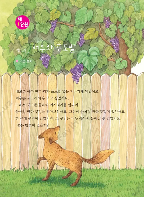 두아들을찾아왔어요. “여보게들, 내생각에는자네둘이서따로따로장사할게아니라 비가오는날엔같이우산장사를하고 더운날에는같이부채장사를하면어떻겠는가? 그러면일손도덜바쁘고장사도더잘될텐데….” “그것참좋은생각이네요.” 그뒤어머니는아들걱정에서벗어나행복하게살았답니다. 30 ● 동화로 배우는 한국어 이글을읽고다음질문에답하세요.활동1 1. 어머니에게는무슨장사를하는두아들이있었나요? 2. 어머니는비가오면어떤걱정을하였나요? 3. 어머니는날씨가좋으면어떠한걱정을하였나요? 4. 어머니는이웃집아주머니의어떤말을듣고기뻐했나요? 5. 이웃집아저씨가두아들에게한말은무엇이었나요? 제2단원 ● 31 활동2 1. 비가내리고있어요. 큰아들이우산을파는데 어떻게하면우산을많이팔수있는지 그림을그려넣어예쁜우산을만들어보세요. 제4과... 황소와바꾼무 전래동화 옛날어느마을에부지런한농부가살았어요. 어느해농부가밭에무를심었는데아주잘자랐어요. “야~. 이렇게큰무는처음인걸! 원님이많은은혜를베풀어주시니무를원님께갖다드려야지.” 농부는가장큰무를들고원님을찾아갔어요. “원님! 제가몇십년동안무농사를지었습니다만 이렇게크고좋은무를거두기는처음입니다. 농사가잘된것은다원님덕택이라가져왔습니다.” 이말을들은원님은크게기뻐하며하인을불렀어요. “여봐라! 요새들어온물건중에서값진것이무엇인고?” “예, 아랫마을김서방이가져온황소한마리가있습니다만….” “그렇다면그황소를농부에게주도록하여라!” 농부는무를주고황소를선물로받게되었어요. 며칠이지나자이소문은이마을저마을로 빠르게퍼졌어요. 34 ● 동화로 배우는 한국어 이웃마을에사는욕심쟁이농부도그소문을들었지요. ‘옳거니, 무하나를가져갔다가황소를얻었겠다. 만일내가황소를가져간다면아마금덩어리를주실게야. 히히히~” 욕심쟁이농부는황소를몰고원님을찾아갔어요. “원님! 저는십년동안소를길러왔습니다만, 이렇게살찐소는처음입니다. 소를잘기르게된것은다원님의덕택이라가져왔습니다.” 원님은크게기뻐하며하인을불렀어요. “여봐라! 요새들어온물건가운데귀한것이무엇이냐?” “예, 며칠전농부가가져온무가있습니다만….” “그렇다면그무를이농부에게주도록하라.” 욕심쟁이농부는큰무를선물로받게되었어요. “아이고, 망했다. 망했어!” 욕심쟁이농부는끙끙거리며무를가지고집으로돌아왔답니다. 제2단원 ● 35 동화를읽고다음질문에답을하세요. 활동1 1. 농부가원님에게드린선물은무엇이었나요? 2. 부지런한농부는원님에게어떠한생각으로무를갖다드렸나요? 3. 원님은무를선물로드렸더니기분이어떠하셨나요? 4. 원님이농부에게준선물은무엇이었나요? 5. 욕심쟁이농부가원님에게드린선물은무엇이었나요? 6. 원님이욕심쟁이농부에게준선물은무엇이었나요? 7. 이동화를읽은사람은어떤마음씨를가져야할까요? 제1과... 마음대로의자 이솝동화 당나귀한마리가도토리를바구니에가득담아 집으로돌아가고있었어요. 얼마쯤가다보니의자가하나놓여있었지요. “마. 음. 대. 로. 의. 자? 정말고마운의자로군. 그럼좀쉬었다갈까?” 마음대로의자위에도토리바구니를놓고당나귀는잠이들었어요. 제 3단원 얼마뒤, 곰이‘마음대로의자’옆을지나가게되었어요. “마. 음. 대. 로. 의. 자? 그런데이건도토리잖아? 정말맛있겠는걸. 마음대로의자니까그냥먹어도되겠지.” 곰은바구니에담겨있는도토리를모두먹어버렸어요. “어! 이거어쩌지? 바구니가텅비었네. 꿀이라도놓고가야지.” 곰은빈바구니에도토리대신꿀병을놓고 집으로돌아갔어요. 얼마뒤, 따뜻한빵을든여우도‘마음대로의자’옆을지나가게되었어요. “마. 음. 대. 로. 의. 자? 이거정말고마운데, 마음대로하라니….” 여우는곰이도토리대신놓고간꿀을‘냠냠’맛있게먹었어요. “그런데빈바구니만남겨두자니미안한데. 빵이라도놓고가야지.” 여우는빵을바구니에담아놓고집으로돌아갔어요. 얼마뒤, …