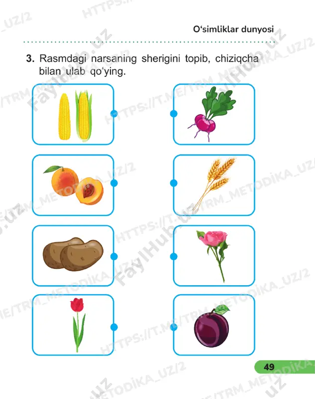 tabiiy fanlar 2sinf daftar 21-22 dars - Page 4