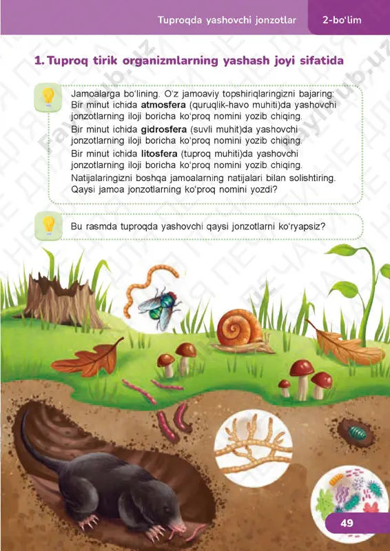 tabiiy fan 4.2 - Page 4