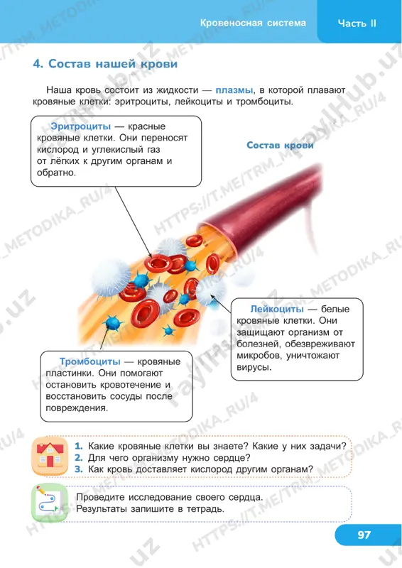 estestvoznanie 4 klass uroki 23_24 - Page 4