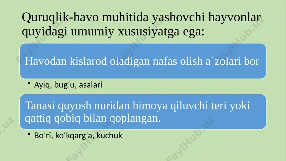 11-dars. hayvonlar yashaydigan muhit. absatova guzal - Page 4
