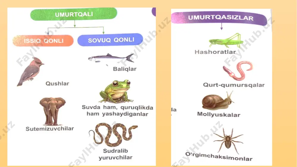 10-dars. hayvonlarning turlari. absatova guzal - Page 4