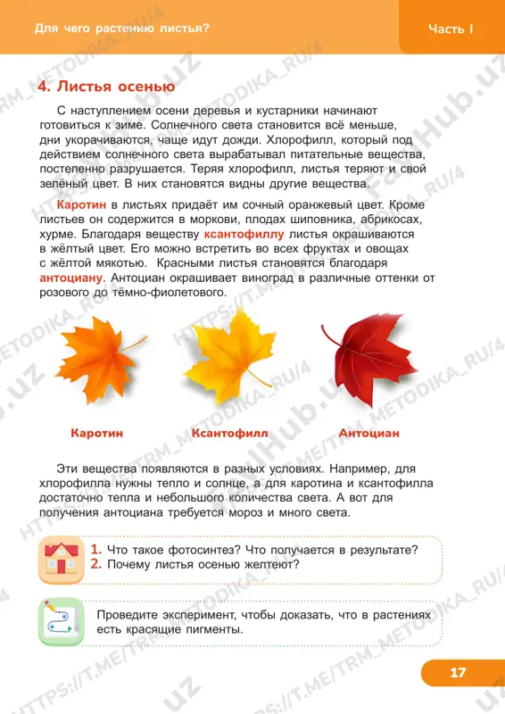 t .m e/ tr m_m et od ik a_ ru /4 ht tp s: //t .m e/ tr m_m e ht tp s: //t .m e/ tr m_m et tp s: //t .m e/ tr m_m et od ik a_ ru /4 tp s: //t .m e/ tr m_m et od ik a_ ru /4 chast i 19 u nas v uzbekistane zasushliviy klimat. rasteniya, jivushie v takom klimate, prisposobilis k ego osobennostyam. u verblyujey kolyuchki dlinnie korni, kotorimi ona dotyagivaetsya do podzemnix vod. drugie rasteniya imeyut razvetvlyonnie korni, kotorie vpitivayut vlagu s poverxnosti pochvi. pustinnim rasteniyam nujno berech vlagu. u mnogix rasteniy uzkie jyostkie listya, chast iz kotorix prevratilas v kolyuchki. voda iz takix listev ne isparyaetsya. u djidi serebristo- belie listya. oni xorosho otrajayut solnechnie luchi i spasayut rastenie ot peregreva. pustinnie saksauli sovsem ne imeyut listev. rasteniya i okrujayushaya sreda 2. zasushliviy klimat zadanie 2. narisuyte v …