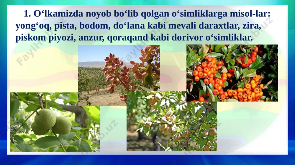 10.01.2021 suvni muxofaza kilish (3) - Page 4