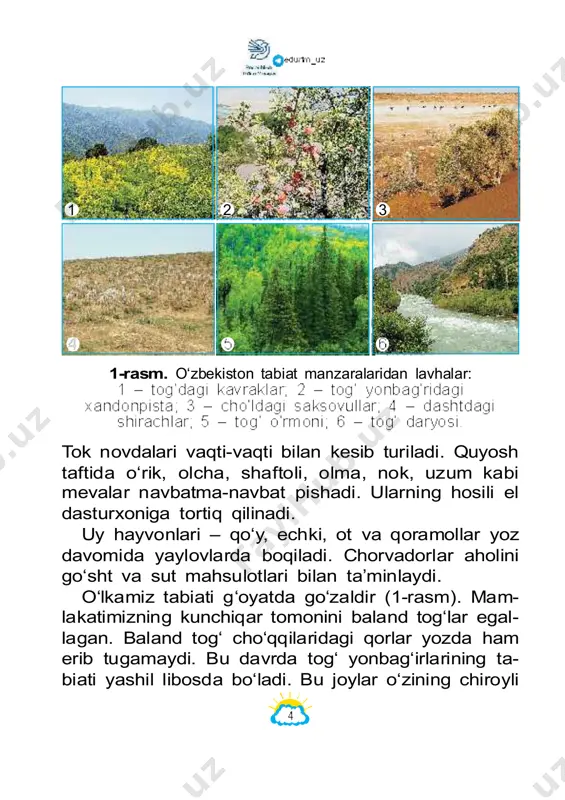 harakat qiladi. kechga borib, u yer sirtining boshqa bir tomoniga botadi. go‘yoki, yer shari bir joyda turadi-yu, quyosh 9 3-rasm. aylanadi. aslida quyosh yerga nisbatan bir joyda turadi. yer qu yosh ning diametri yer sharini ki dan 109 mar- ta kattadir. uning massasi esa yernikidan 330 000 marta katta. tasavvur qiling, agar quyosh kattaligini koptokdek desak, u holda yerning kattaligini mosh donasidek deyish mumkin. quyosh tunlari yog‘du sochib turgan osmonda- gi yulduzlardan biridir. yulduz lar qanday holatda bo‘lsa, quyosh ham shunday holatda bo‘ladi. quyosh sarg‘ish rangli o‘rtacha kattalik dagi yulduz hisoblanadi yulduzlar bizdan nihoyatda olisda bo‘lgani uchun ularning nuri yerga yetib kelguncha bir necha o‘n yil - da yetib keladi. ko‘rib turibsizki, tunlari ko‘rinib turgan yulduzlarga nisbatan quyosh bizga juda yaqin ekan. 4-rasm. quyoshning tuzilishi. quyosh yer 10 quyosh quyoshning yadrosida, ya’ni markazida harorat 000 000 °c dan yuqoridir. sirti tomon harorati 000 °c kilometrga yaqin. quyoshning bizdan qanchalik uzoq …