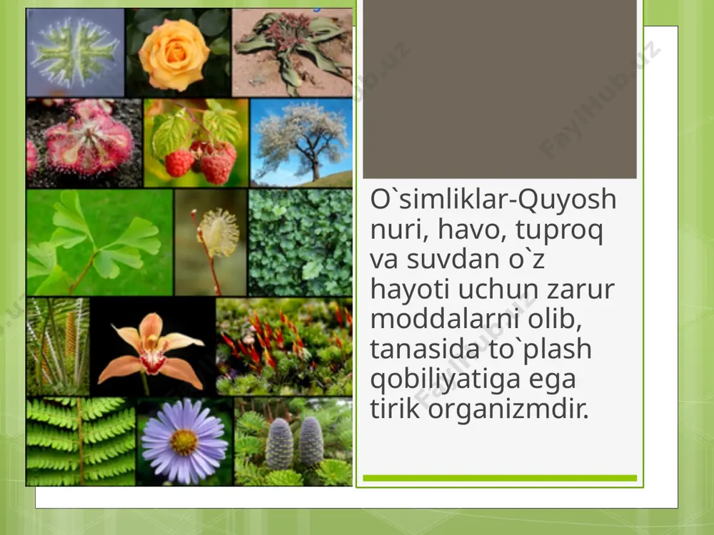 4-sinf. toirova rayhon - Page 4