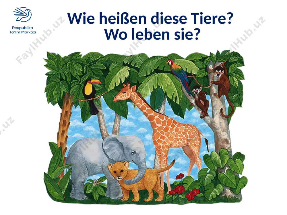 im zoo 2. die 2. klasse - Page 4