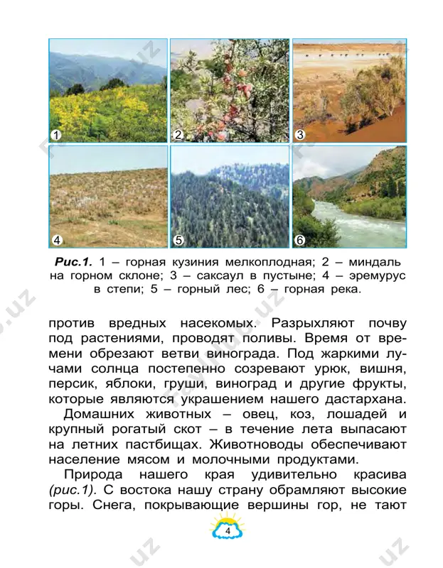 imix chelove- cheskomu glazu. uchyonie izdavna proyavlyali interes k zvyozdam. nash velikiy sootechestvennik mirzo ulugbek (1394–1449) dlya izucheniya zvyozd postroil v samar- kande spetsialnoe soorujenie – observatoriyu. na osnove izucheniya zvyozd s pomoshyu priborov etoy observatorii on sostavil tablitsu zvyozd. sobrav rezultati issledovaniya zvyozd, ulugbek napisal knigu, v kotoroy opisani polojeniya 1018 zvyozd. dannie o zvyozdax, privedyonnie v etoy knige, ne uteryali svoego znacheniya i nine. solntse – samaya blizkaya zvezda kajdiy den rano utrom solntse vosxodit na od- noy storone zemnoy poverxnosti i, sovershaya dvi- jenie po nebosvodu v techenie dnya, vecherom zaxo- dit na drugoy storone zemnoy poverxnosti. kajet- sya, chto zemnoy shar nepodvijno stoit na meste, mirzo ulugbek 9 a solntse vrashaetsya vokrug nego. na samom dele solntse naxoditsya otnositelno zemli na odnom meste, a zemlya vrashaetsya vokrug solntsa (ris.3). diametr solntsa v 109 raz bolshe diametra zemnogo shara, a ego massa previshaet massu zem- li v …