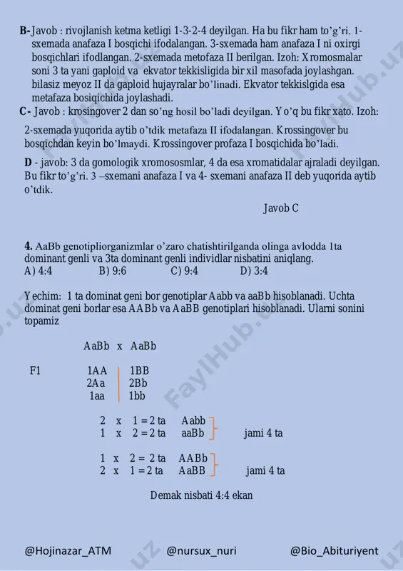 yechim 4 - Page 4