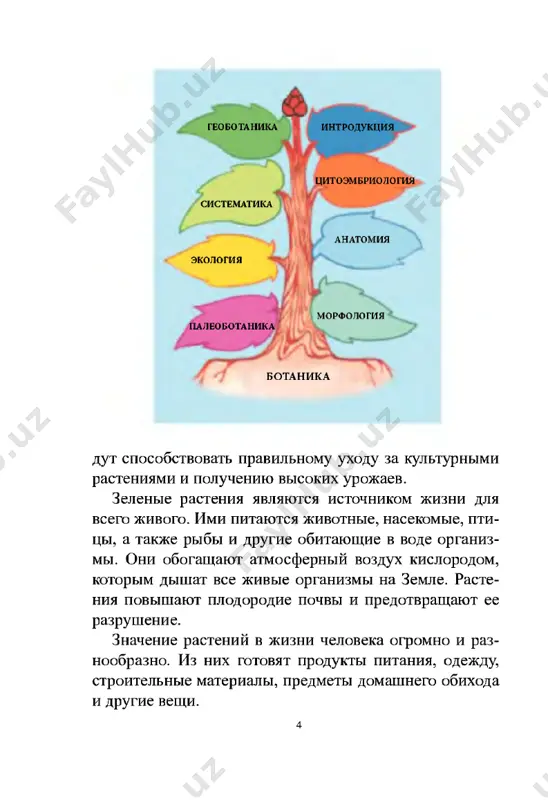 vnimanie udelyaetsya zashite proizrastayushix v respublike raste­ niy i ix razumnomu ispolzovaniyu. redkie i ischezayu­ shie vidi rasteniy zaneseni v krasnuyu knigu respub­ liki uzbekistan (ris. 4). v respublike sozdan gosudar­ stvenniy komitet po oxrane i zashite prirodi. oxrana i zashita prirodi, priumnojenie ee bogatstva - dolg kajdogo grajdanina strani. net nikakogo somneniya v tom, chto uchashiesya shkol takje vnosyat posilniy vklad v eto blagorodnoe delo. 7 1. chto izuchaet botanika? 2. kakoe znachenie imeyut rasteniya v jizni prirodi? 3. kakoe znachenie imeyut rasteniya v jizni cheloveka? 4. kogo eshe iz uchenix, vnesshix dostoyniy vklad v razvitie botaniki v uzbekistane, vi znaete? rasskajite po ris. 5, kakoe znachenie imeyut v jizni cheloveka eti rasteniya i kak ix mojno ispolzovat. ris. 5.1 - pshenitsa; 2 - xlopchatnik. derevo s plodami k zemle klonitsya, besplodnoe derevo vvis stremitsya. me> razlivaetsya iz zolotoy chashi,hr krasotu zemli otkrivaya. g l a v a ! …