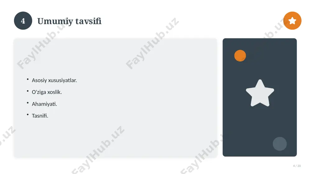 0329_v1_geografiya_fanidan_10_sinf_loyiha_ - Page 4