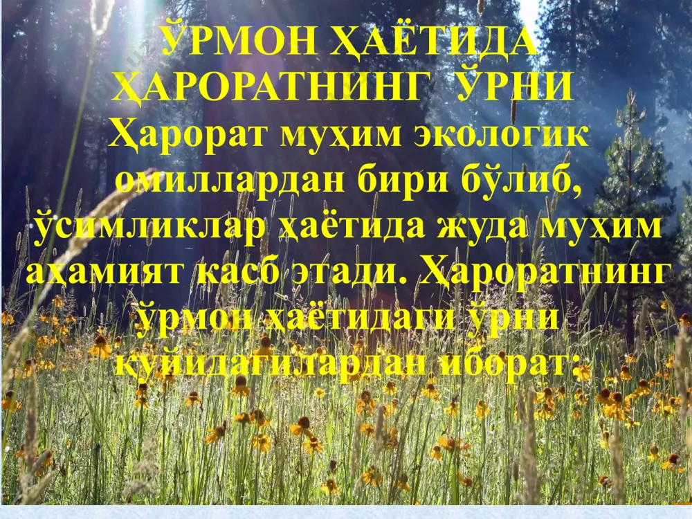 png image3.jpeg image4.png image5.jpeg image1.jpeg