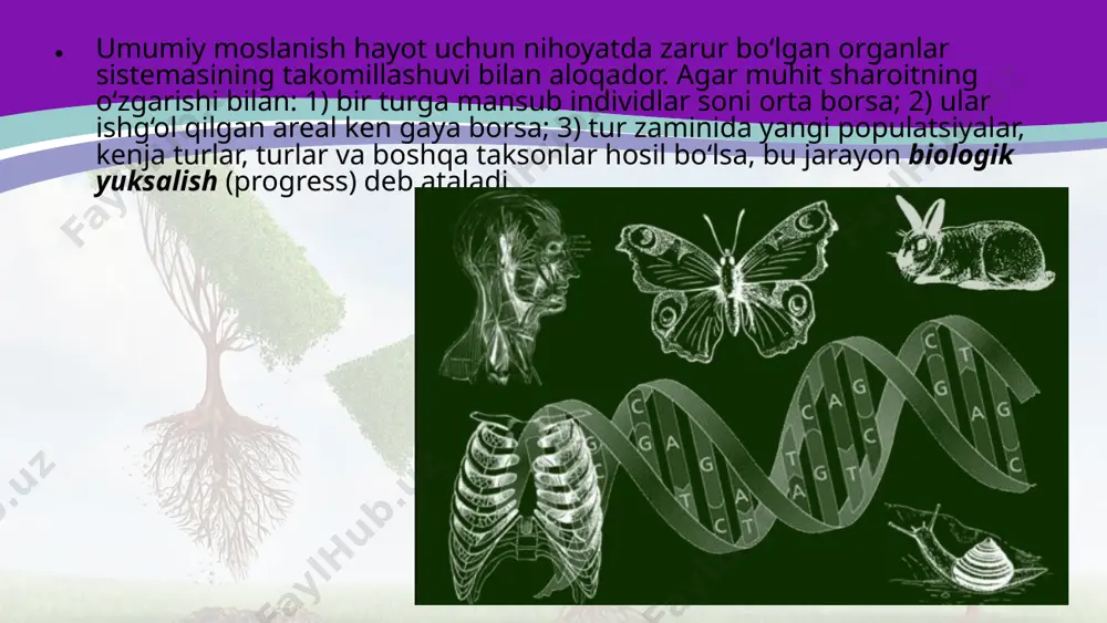organik olam evolutsiyasining asosiy yo‘nalishlari. 10 - sinf - Page 4