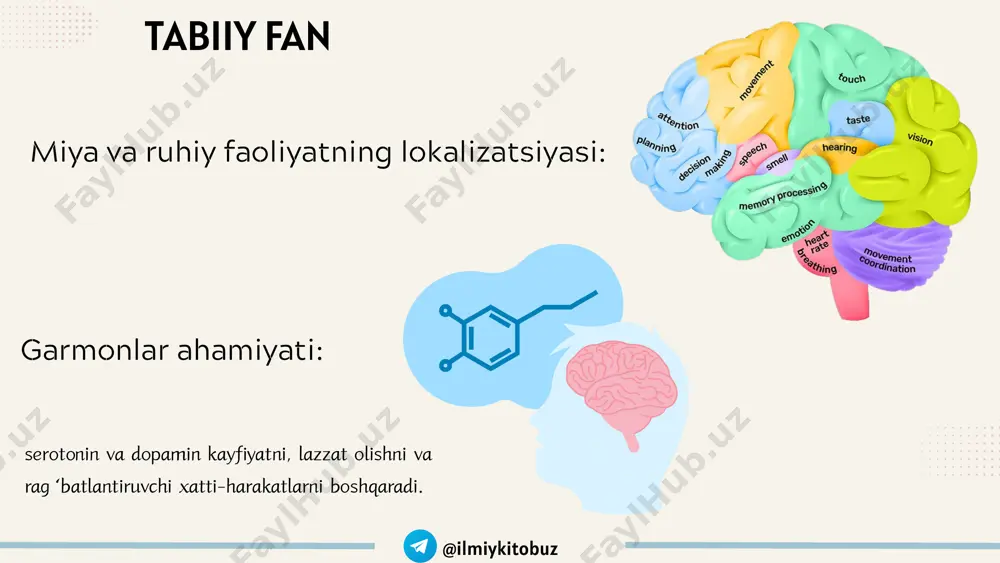 bo psixik kasalliklar psixofarmalogiya pedagogika fizika va kimyo matematika va statistik qanday psixologiya tarmoqlarini bilasi? image5.png image10.svg image6.jpeg image1.png image2.svg image2.png image4.svg image3.png image6.svg image4.png image8.svg image11.png image21.svg image12.png image23.svg image7.png image13.svg image8.png image15.svg image9.png image17.svg image10.png image19.svg media1.mp4 image14.jpeg image13.png image25.svg image15.png image28.svg image16.png image30.svg image17.png image32.svg image18.png image19.png image20.png image21.png image22.png image38.svg image23.png image24.png image25.png image42.svg image26.png image27.png image45.svg image30.png image51.svg image28.png image47.svg image29.png image49.svg image31.jpeg image32.png image54.svg image33.png image34.png image39.png image66.svg image40.png image41.png image69.svg image42.png image71.svg image43.png image73.svg image35.png image58.svg image36.png image60.svg image37.png image62.svg image38.png image64.svg image44.png image45.png image46.png image47.png image48.jpeg image49.png image50.png media2.mp4 image51.jpeg image52.png image83.svg image53.png image85.svg image54.png image87.svg image55.png image89.svg image56.png image91.svg image57.png image93.svg image58.png image59.png image96.svg image60.png image98.svg image61.png image62.jpeg image63.png image65.jpeg image64.png image103.svg image66.jpeg image67.png image68.png media3.mp4 image69.jpeg /docprops/thumbnail.jpeg