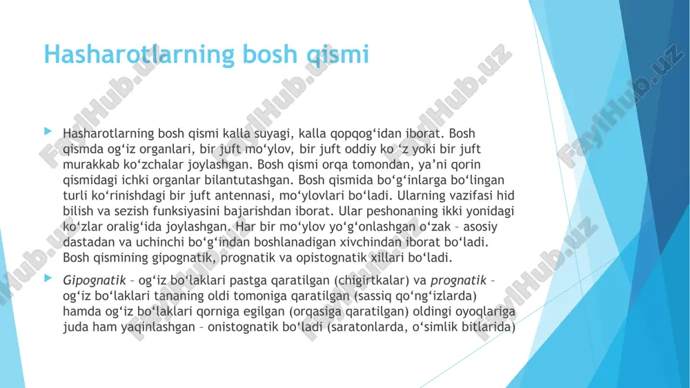 igan 3 ta bo’g’imdan tuzilgan. har bir ko’krak bo’g’imi 4 ta xitin qoplag’ich – skleritdan iborat. skleritlar- ning nomi orqa skleriti- tergit qorin skleriti- sternit ikkita yon skleritlari- plevrit. hasharotlarning qanoti ko‘pchilik hasharotlarda ikki juft qanot bo‘lib, ularning birinchi jufti o‘rta ko‘krakka va ikkinchisi orqa ko‘krakka joylashadi. lekin ikki qanotlilarda qanot bir juft bo‘lib, ular o‘rta kurakka, orqa kurakka esa yo‘qolib ketgan orqa qanot rudimentlari o‘rnashadi. hasharotlar qanoti ikkita yupqa plastinkadan iborat bo‘lib, ular o‘rtasidan to‘rt tomoni berk katakchalar hosil qiladigan tik va ko‘ndalang tomirlar o‘tadi. tomirlarning soni va joylashishi har xil. tuban hasharotlar qanotida ko‘proq ko‘ndalang tomirlar bo‘ladi, qanot tomirlari qanot pardalarini ko‘tarib turuvchi mexanik tirgak vazifasini bajaradi. ichi g‘ovak bo‘lgan ayrim tomirlar orqali oziq modda tashuvchi qon oqadi. hasharotlar qanotlarini tutib turishida va ularni oziqlanishida uzunasiga ketgan tomirlar katta ahamiyatga ega bo‘lib, ular quyidagi xillarga bo‘linadi: c – kostal tomir. bunda tomir qanotning tubidan chiqib, uning oldingi cheti …