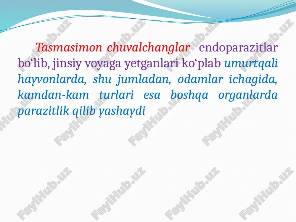 respublikalarida, qozog‘istonda, rossiyaning shimoliy viloyatlarida ko‘proq uchraydi. o‘zbekistonda bu kasallik, asosan xorazm viloyati aholisi o‘rtasida tez-tez uchrab turadi (13%). buning asosiy sababi mahalliy aholi o‘rtasida milliy taom mol go‘shti qiymasidan tayyorlangan «ijjan»ning (piyoz va garmdori qo‘shilgan xom qiyma mol go‘shtining) keng iste’mol qilinishidir. cho‘chqa tasmasimon chuvalchangi (taenia solium). qoramol tasmasimoni kabi odamlarning ingichka ichagida parazitlik qiladi. uzunligi 1,5-3 m, ba’zan esa 5 m gacha borib, boshcha, ya’ni skoleks, bo‘yin va 900 tagacha bo‘g‘imlari boshchasida 4 ta so‘rg‘ichi va xartumida ikki qator har xil katta-kichiklikdagi xitinli ilmoqchalari (22-32 tadan) joylashgan, proglottidalarining har birida yuzlab urug‘donlar va uch bo‘lakli bitta tuxumdon bo‘ladi. cho‘chqa tasmasimoni lichinkasi ham xuddi qoramol tasmasimoni lichinkasi kabi sistitserk deyiladi. bu lichinka har xil to‘qima va organlarda maxsus po‘stga o‘ralib parazitlik qiladi. sistiserk no‘xat kattaligidagi pufakcha bo‘lib, ichi tiniq suyuqlik bilan to‘lgan bo‘ladi, uning uchida 4 ta so‘rg‘ichi va xartumi, ilmoqchalar bilan qurollangan skoleksi joylashgan. cho‘chqa tasmasimonining asosiy xo‘jayini …