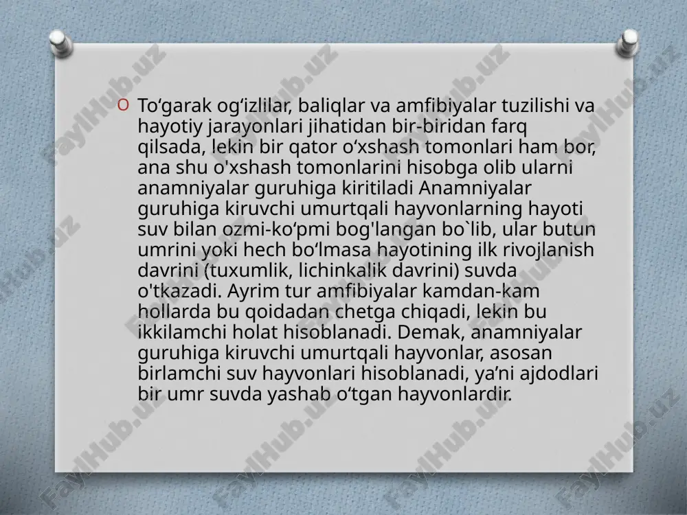 anamniyalar guruhiga kiruvchi umurtqa li hayvonlarning xususiyatlari - Page 5