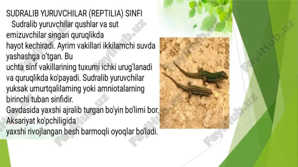 sudralib yuruvchilar va ularning kelib chiqishi - Page 5