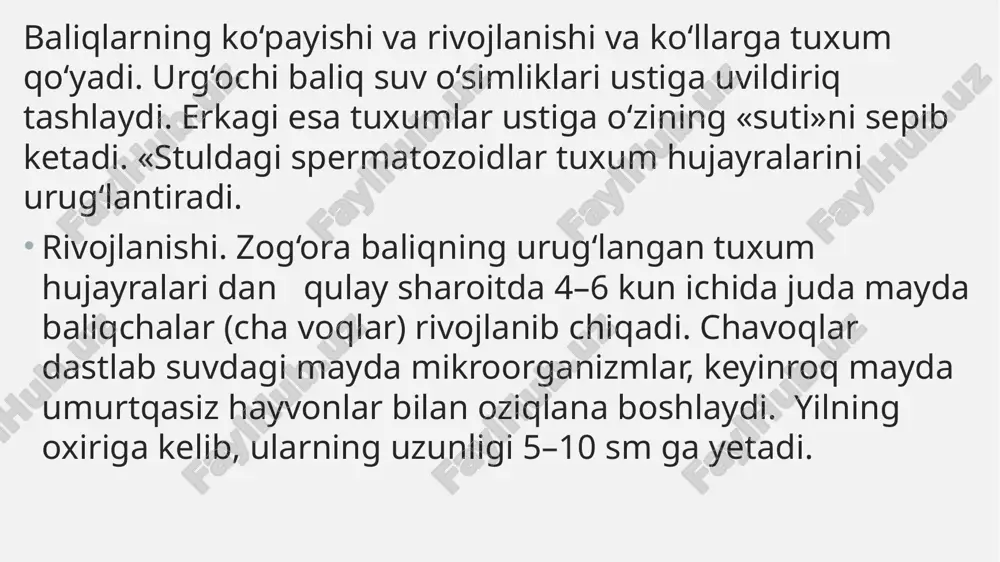 baliqlarning hayot tarzi - Page 5