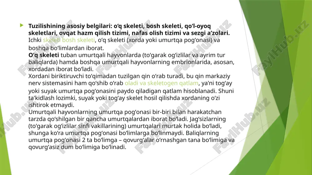 umurtqalilarningkelibchiqishivaevolutsiontaraqqiyot - Page 5