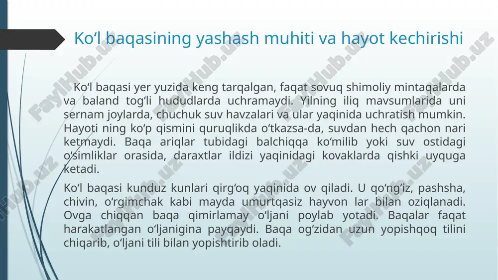 ar bilan haqiqiy quruqlikda yashovchi hayvonlar (amniotlar) oʻrtasida oraliq oʻrinni egallaydi. stegotsefallar deb atalgan qadimgi suvda va quruqlikda yashovchilar bosh qutisi skeleti 1 m gacha boʻlgan. ular karbonning oʻrtalarigacha quruklikda yashovchi yagona umurtqalilar boʻlgan. karbon davri oxiridan boshlab quruqlikda sudralib yuruvchilar hukmronlik qila boshlagan. hozirgi sudralib yuruvchilar yura davridan maʼlum. etiboringiz uchun rahmat polzovatel (p) - image1.png image2.png image3.png image4.png image5.png image6.png image7.png image8.png image9.png image10.png image11.png image12.png image13.png image14.png image15.png /docprops/thumbnail.jpeg