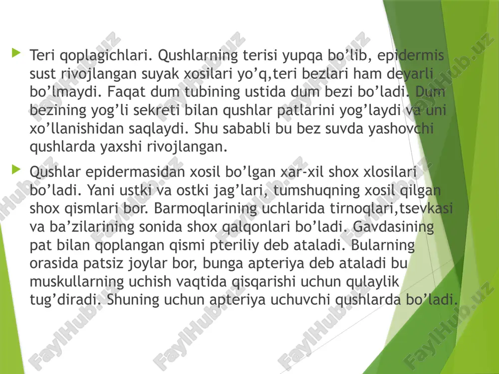 cho'lqushlari - Page 5