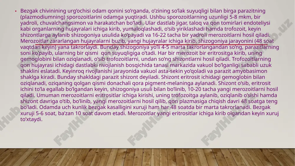 qon sporalilari - haemosporidia - Page 5