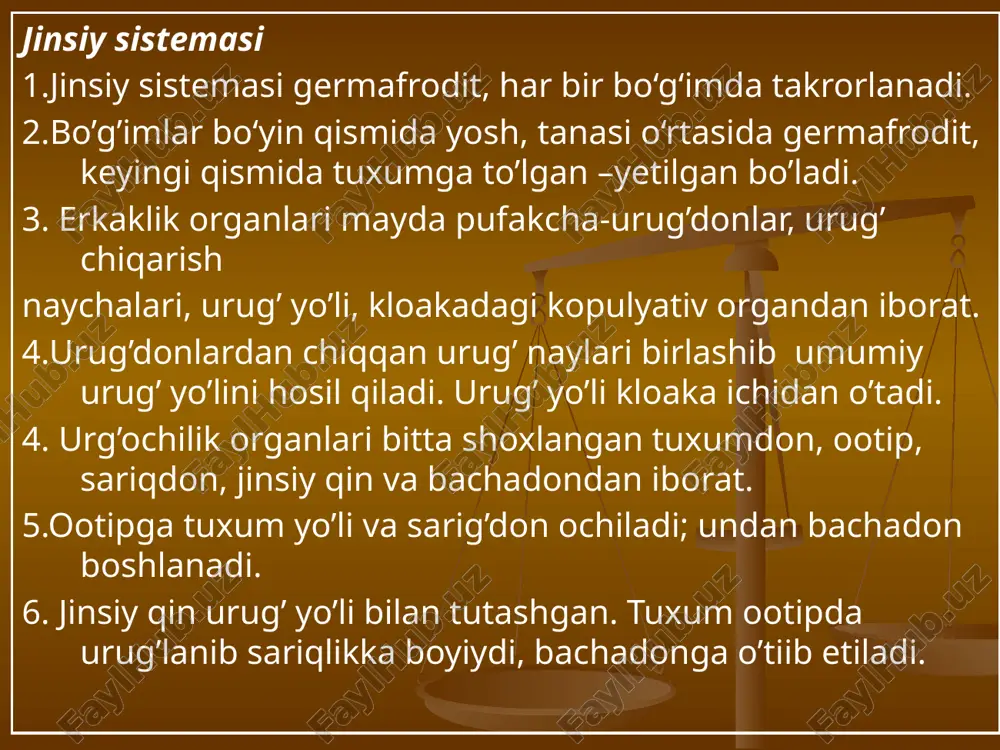 tasmasimon chuvalchanglar - Page 5