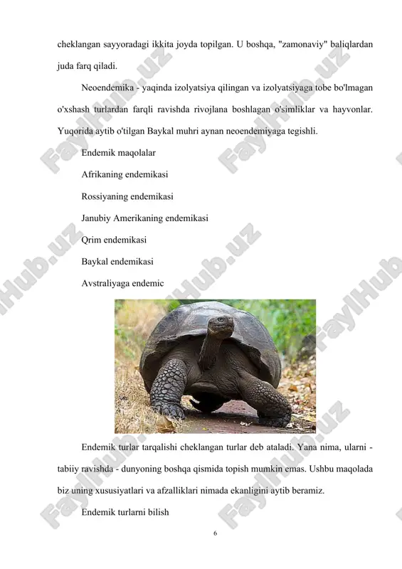 tor areallarni hosil qiladi. barcha tor areallar endemiklar uchun xosdir. mayda orolchalar, to g ’ tizmalari va alohida ko'llar bilan chegaralangan areallar ko’pincha neoendemik turlarga tegishlidir. yuqorida ta’kidlanganidek, kosmopolit turlar (kashalotlar, delfinlar, sinantrop hasharot turlari) keng areallar hosil qiladi. odatda qadimiy (filogenetik jihatdan qari) turlarning areallari yosh turlarga qaraganda katta bo'ladi va bu holat qadimiy turlar o'z areallarini kengaytirishi uchun yetarli darajada vaqtga ega bo'lganligi bilan tushuntiriladi. tahlillar ko'pincha turlarning yoshi ularning areallari bilan to'g'ridan-to‘g'ri bog'liq ekanligini ko'rsatadi.mazkur qonuniyat fanda villis nazariyasi yoki “vaqt va makon ” qoidasi nomi bilan u uritiladi. mazkur qoidadan mustasno hollar ham uchrab turadi, jumladan nisbatan qari turlar ham b a ’zan kichik areallar hosil qilishi mumkin (gatteriya va boshq.). areallarning shakli juda xilma-xil bo'lib, areal shaklini aniqlaydigan omillar uning ko'lamini ham aniqlaydi. shimoliy yarim sharning mo''tadil mintaqasida joylashgan oblastlardagi ko'pchilik turlarning areallari g'arbdan sharqqa tomon uzoq. shimoldan janubga tomon esa juda kam masofada cho'zilgan …