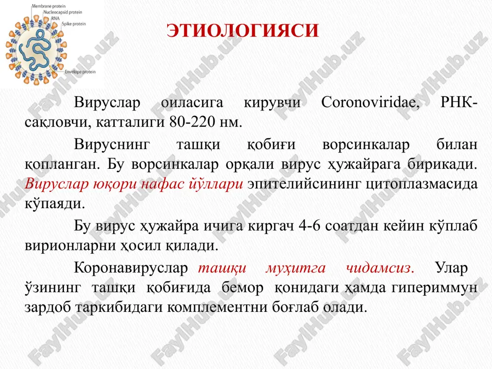 koronavirusli infektsiya - Page 5