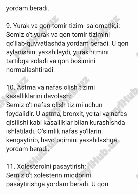 semiz ot - Page 5